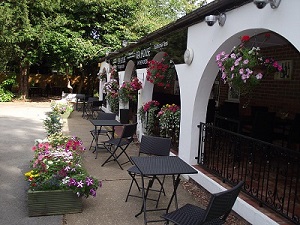 Tea Room in the Woods